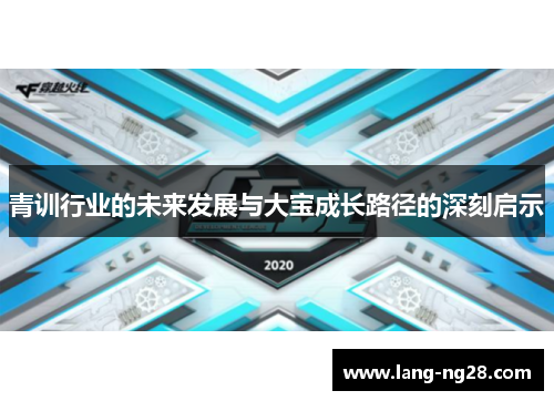 青训行业的未来发展与大宝成长路径的深刻启示