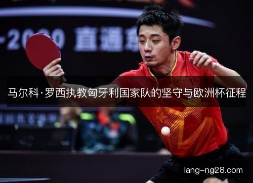 马尔科·罗西执教匈牙利国家队的坚守与欧洲杯征程